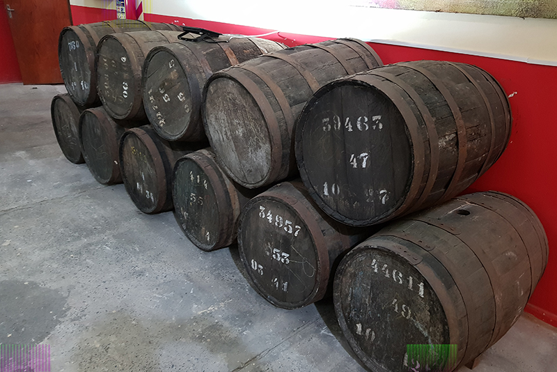 Los viejos toneles de roble francés de CAPASA. Algunos están hechos con maderas que tienen más de 130 años. Habían 21 millones de estos barriles que fueron dilapidandose a través del tiempo. Ahora quedan en la institución 2 millones de barriles.