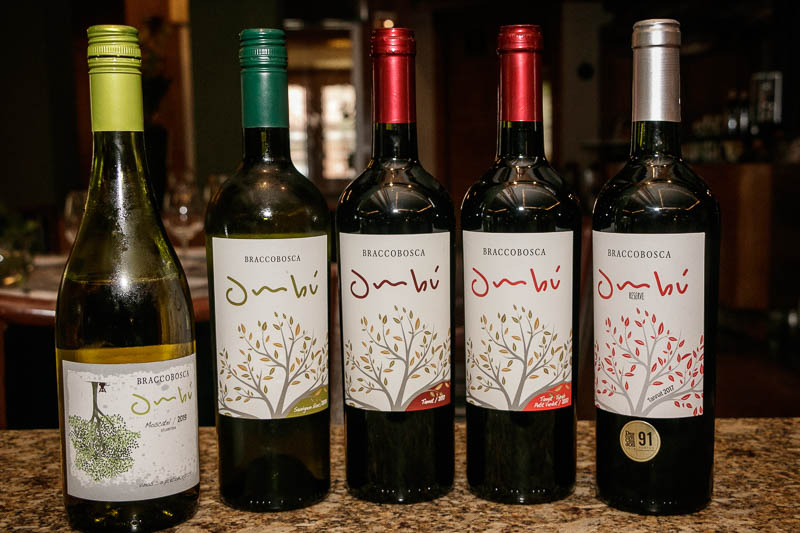Bracco Bosca eligió la palabra Ombú como etiqueta de sus vinos. De izquierda a derecha: el Moscatel, el Sauvignon Blanc, el Tannat clásico, el tannat blend y el tannat Reserva.