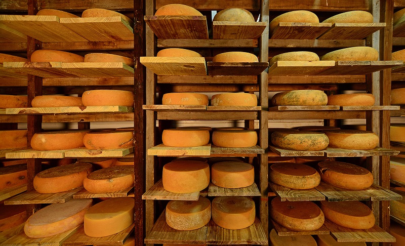 La cámara de maduración y almacenamiento donde los variados tipos de quesos esperan un mínimo de seis meses para ser comercializados.